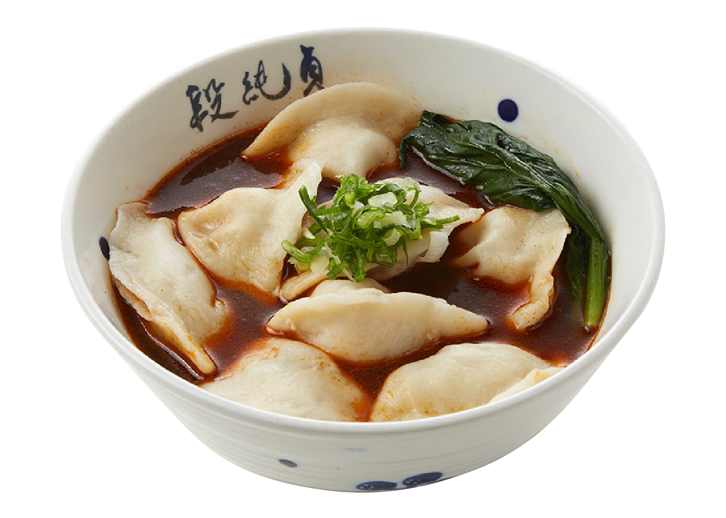 Beef Dumpling Soup